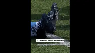 Image via SB Nation