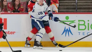 Image via The Hockey Writers
