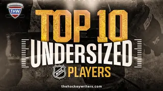 Image via The Hockey Writers