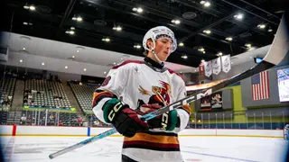 Image via The Hockey Writers