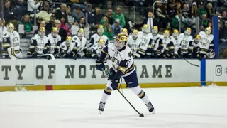 Image via The Hockey Writers
