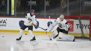 Image via Vegas Golden Knights (NHL.com)