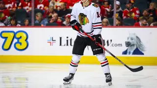 Image via The Hockey Writers